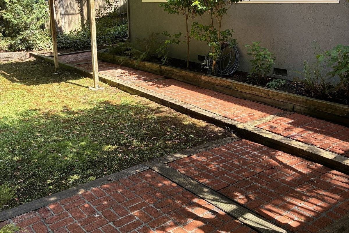 Brick walkway after moss removal