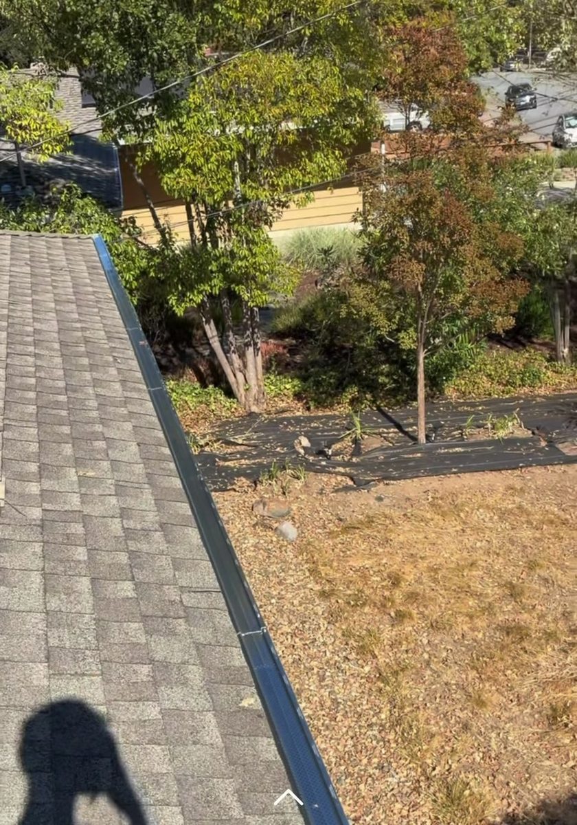 New gutter guards installed along a shingle roofline