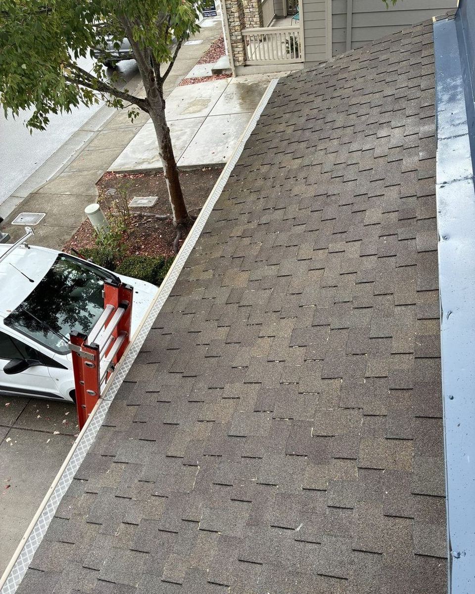 Shingle roof after moss treatment