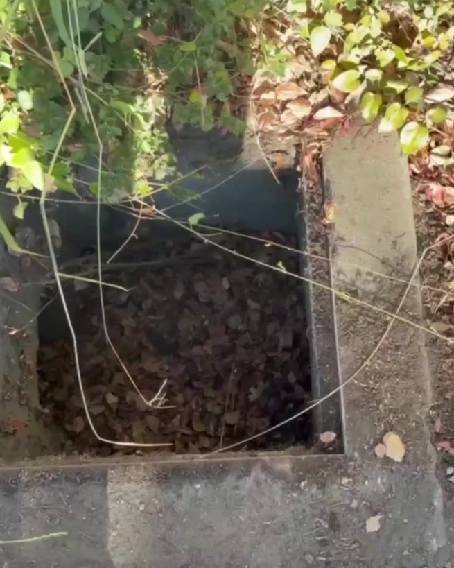 Storm drain packed with leaves