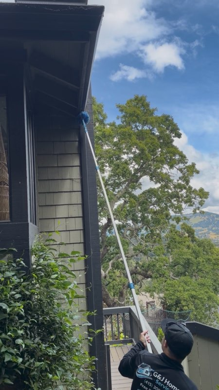 Cobweb Removal service